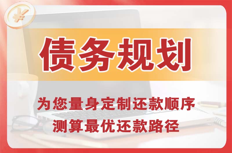 瑞金债务规划